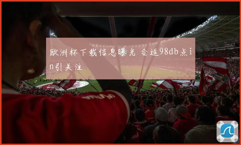 欧洲杯下载信息曝光 合适98db点in引关注